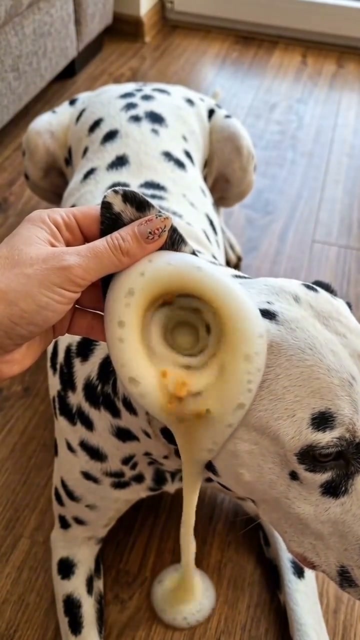 Got Dogs AND Cats? You Need This!