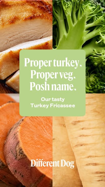 No fillers. No nasties. Try our Turkey Fricassee.
