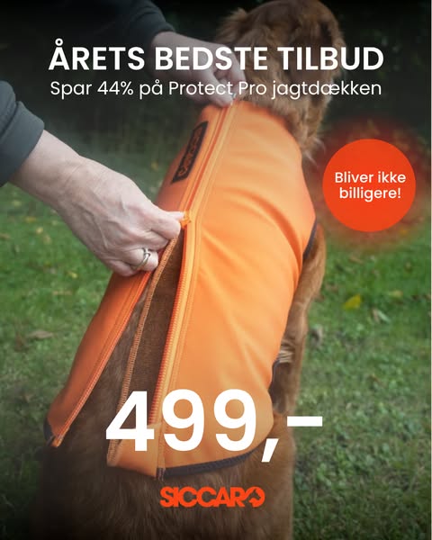 CRAZY AUTUMN: Spar op til 50% på Siccaro.dk