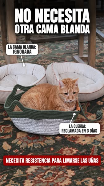 Más de 20.000 vendidas