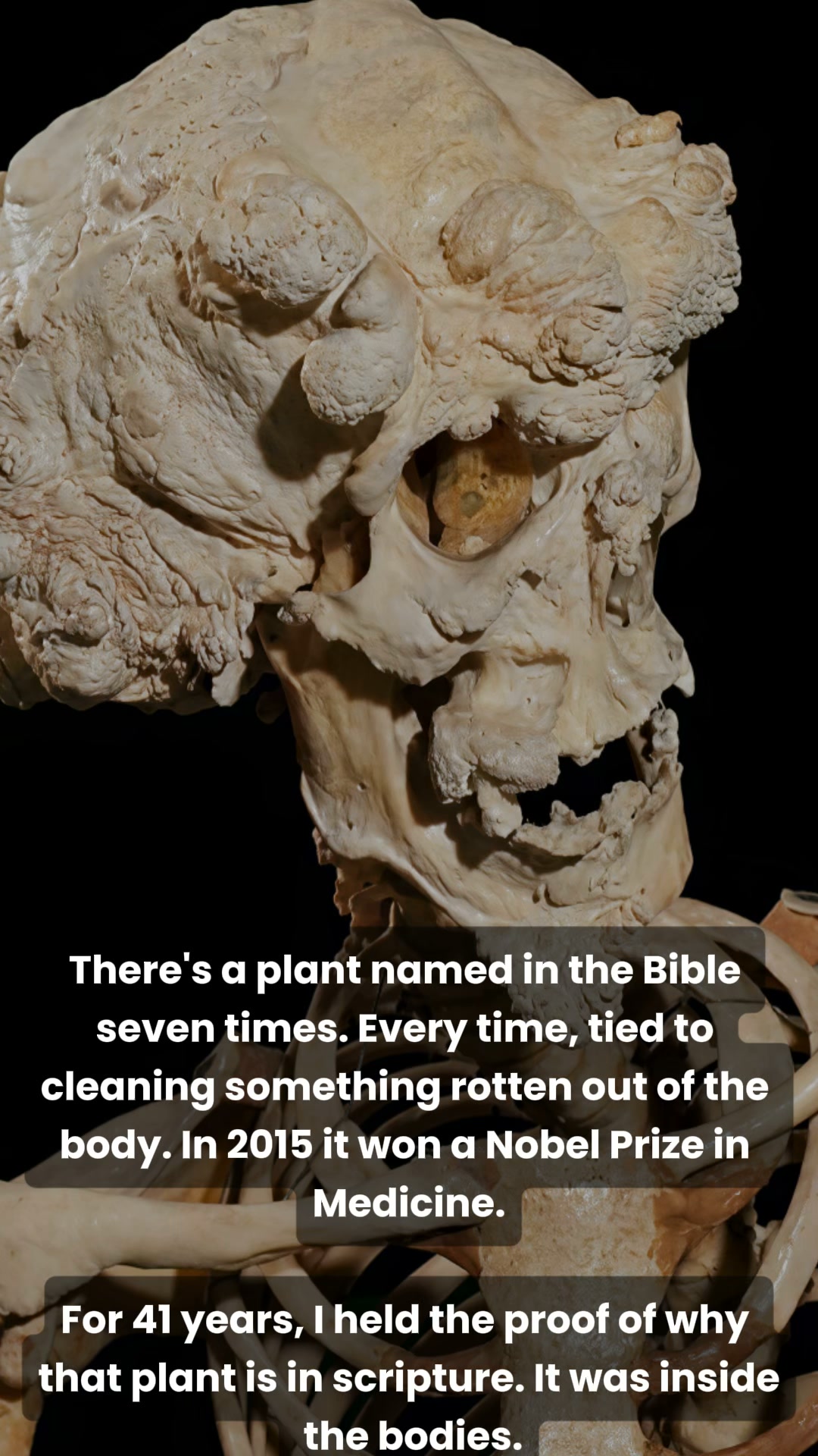 The Plant Named Seven Times in the Bible
