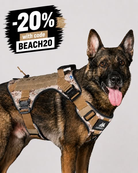 20% With Code BEACH20
