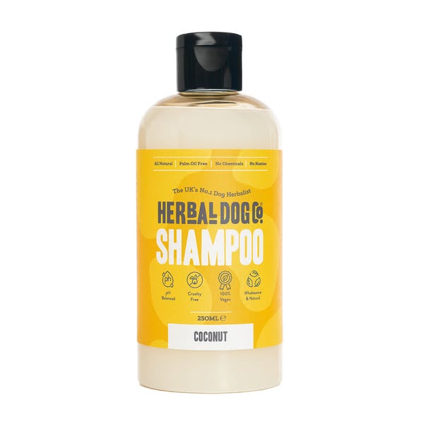 Coconut | Botanical Everyday Gentle Wash
