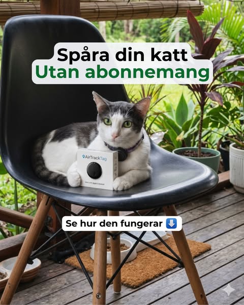 Spåra din katt – utan abonnemang