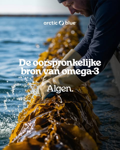 Geen viseter?