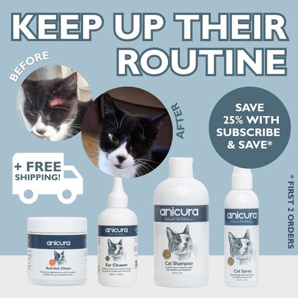Limited Time: Save 25% on your first 2 orders!