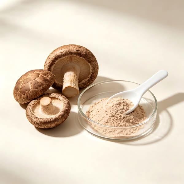 Shiitake Mushroom Powder Supplier