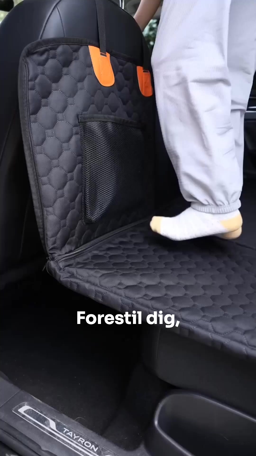 Fra bagsæde til 5-stjernet hundelounge