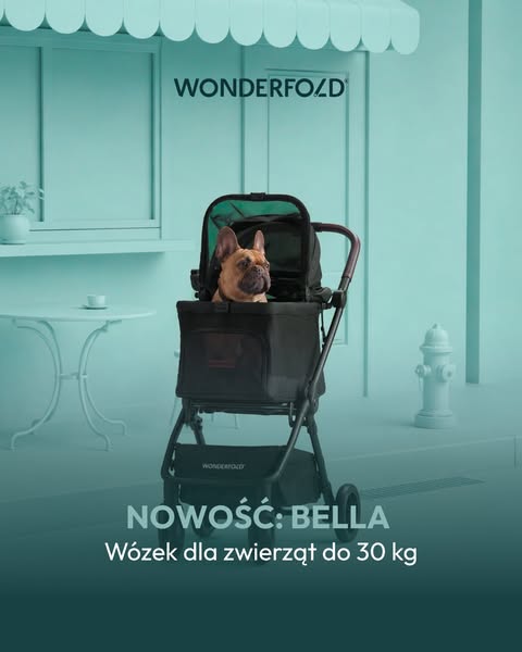 Anúncio de Wonderfold Polska