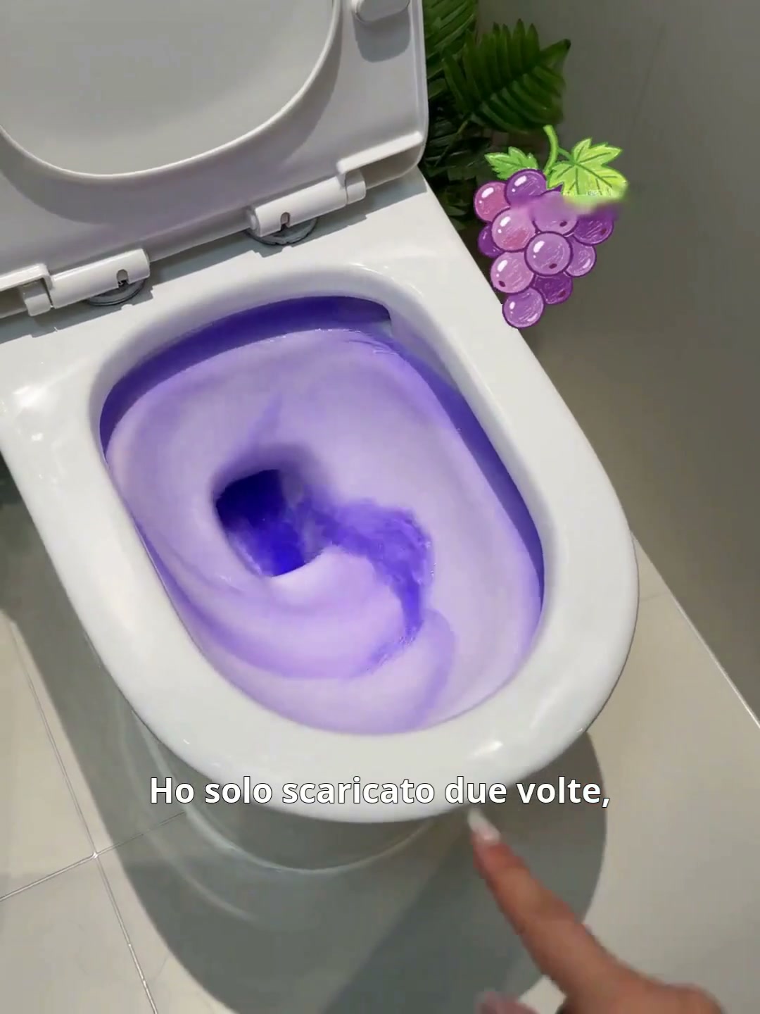 Anúncio de Nishomee