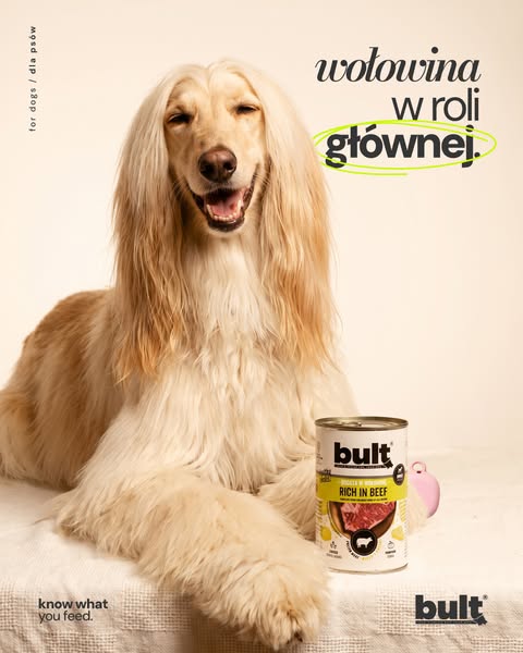 Sprawdź na bult.dog