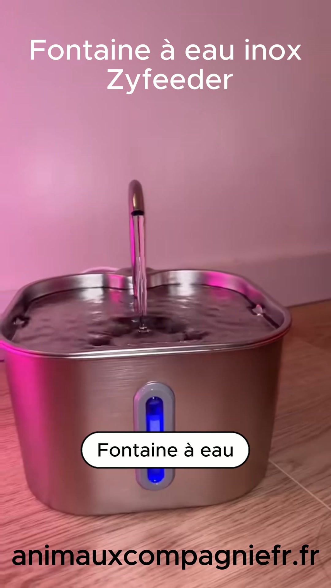 Enfin une fontaine qui donne envie à votre chat de boire davantage