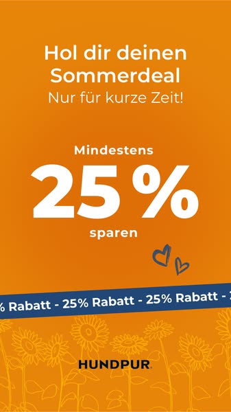 Jetzt 25% sparen