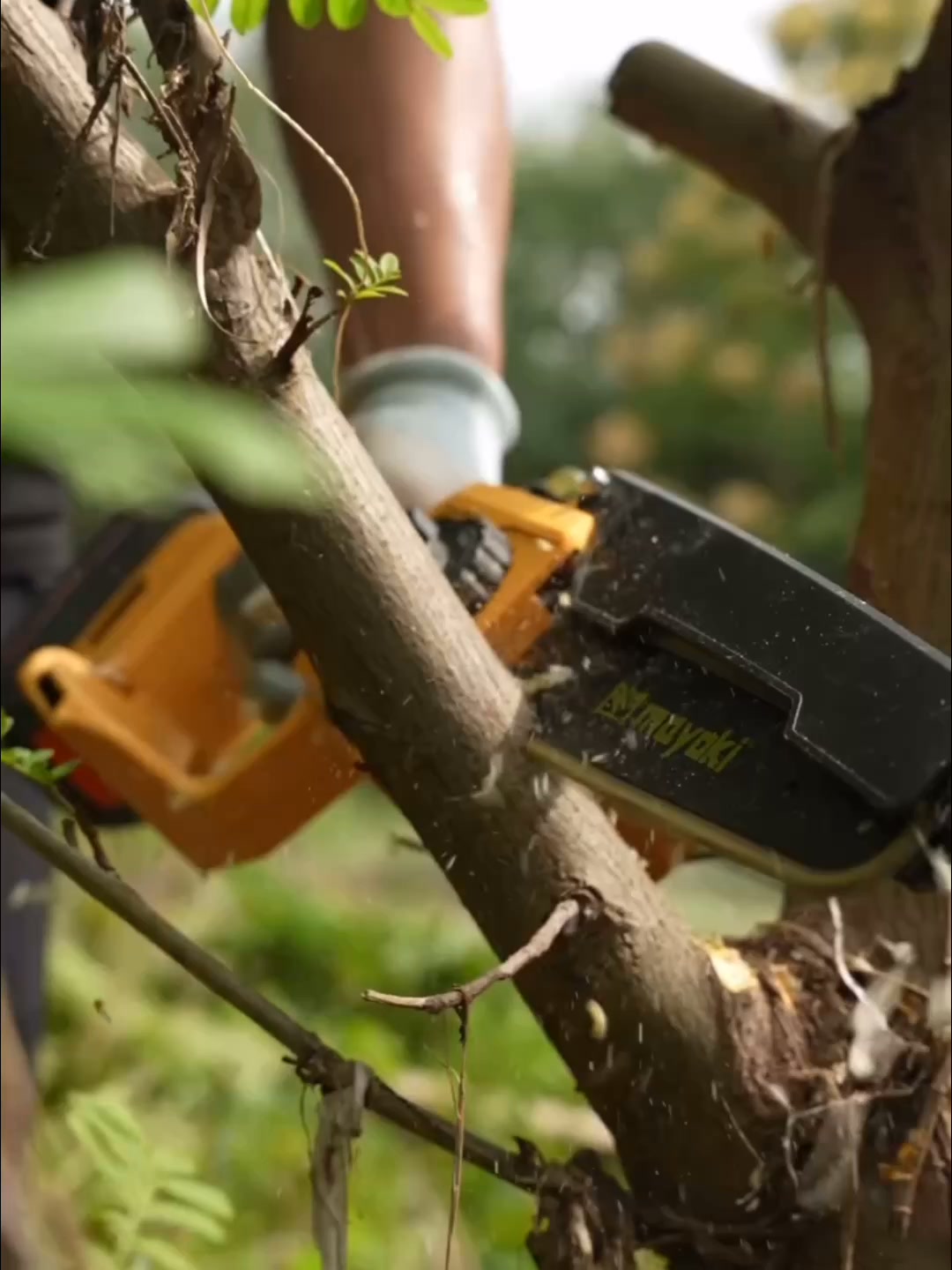 Cordless Power Tools for Every Task