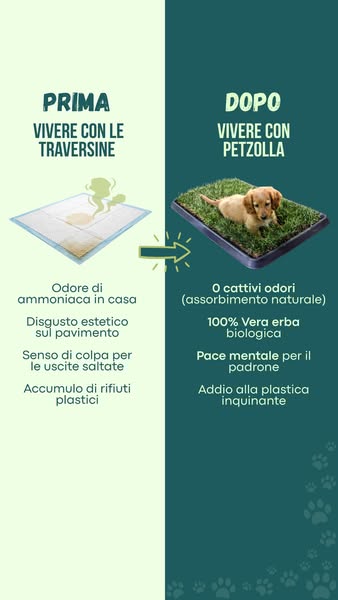 Scopri Petzolla