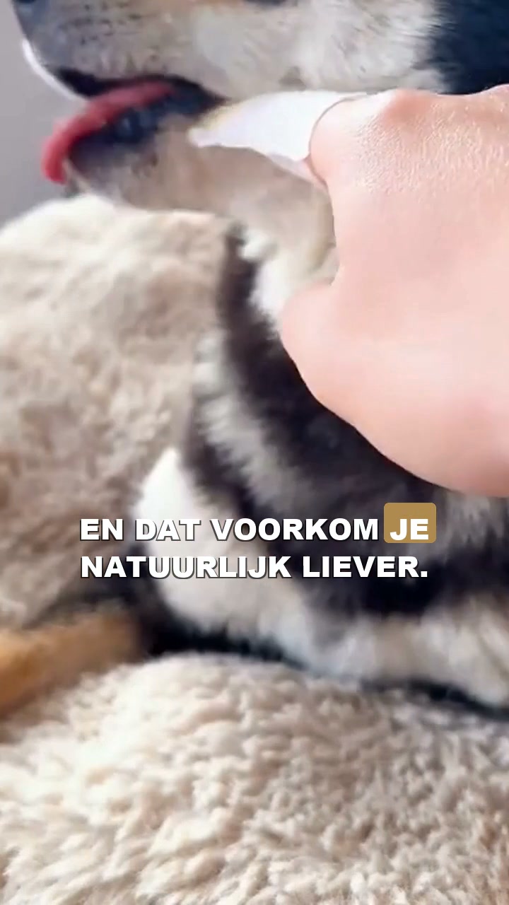 Voorkom Bacteriën & Slechte Adem!