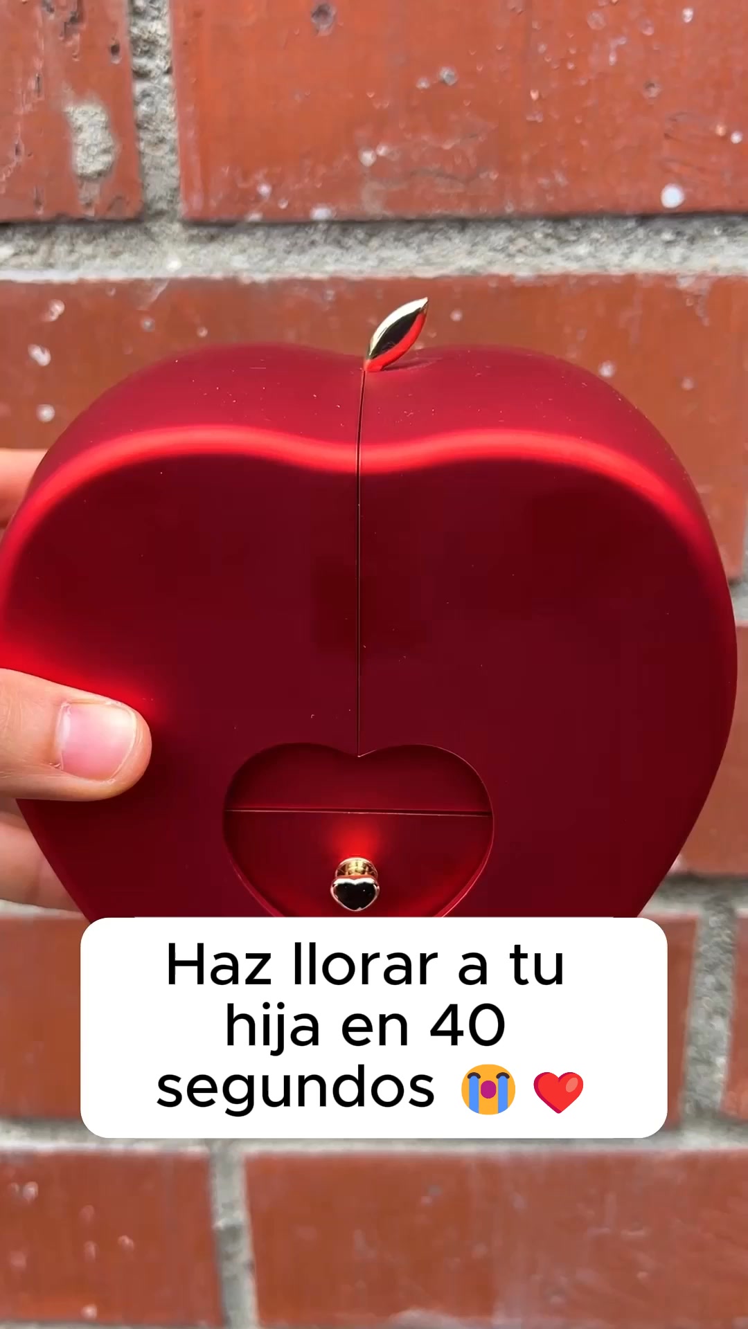 Esto hizo llorar a mi hija
