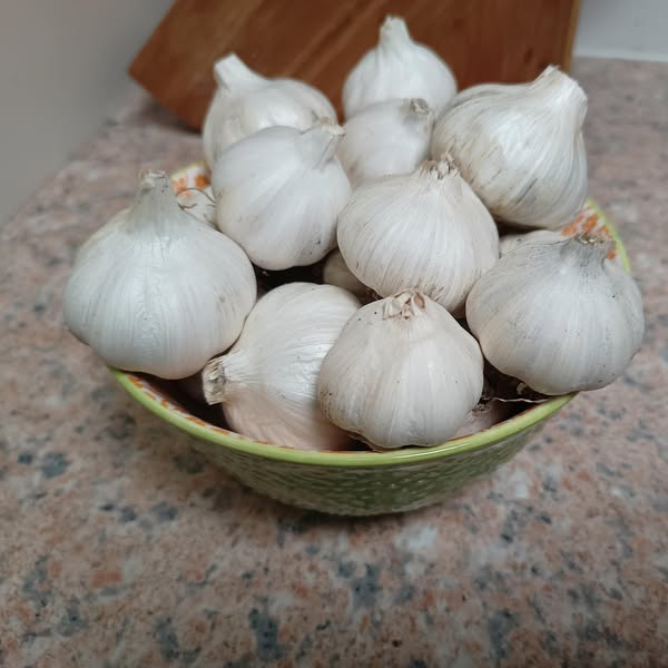 Odorless Garlic Extract Capsules | AT2A