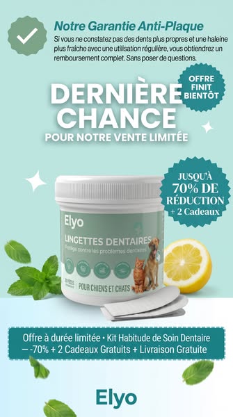 Offrez à votre chien une vie plus saine et plus heureuse