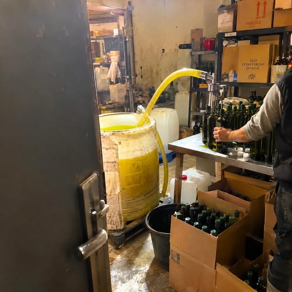 I watched them pour chemicals into "premium" olive oil