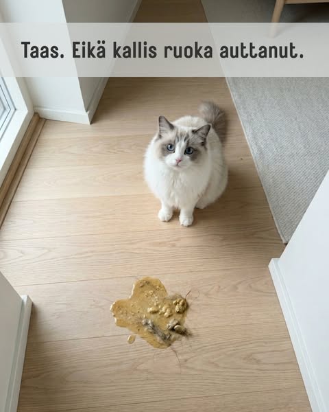 Ajattelin sen olevan vain karvapallo…