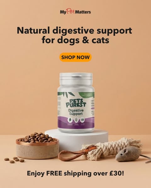 15% Off Your First Order + Free Shipping Over £30