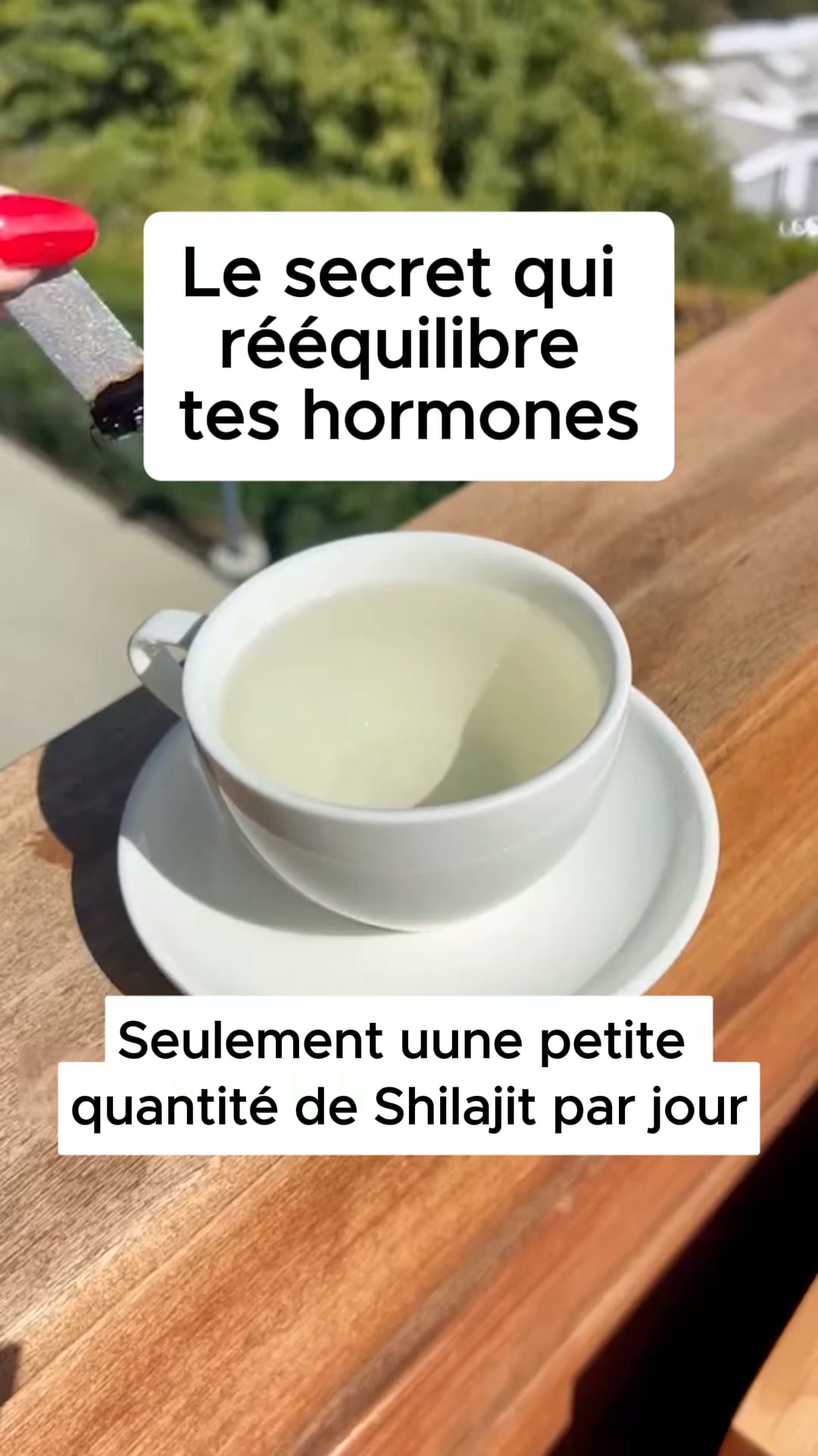 Résine de Shilajit Pure
