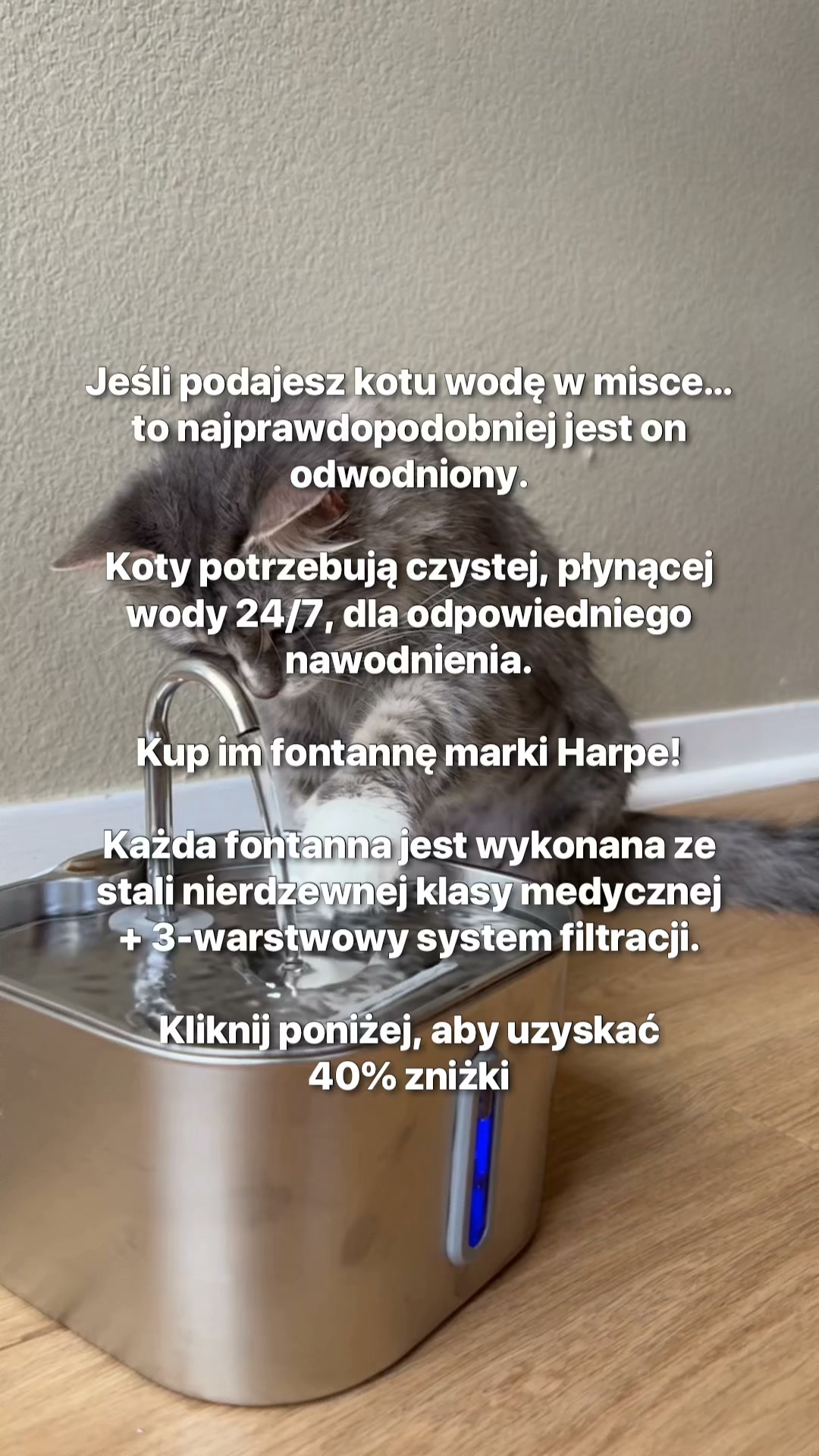 Pełna miska. A kot nadal nie pije?