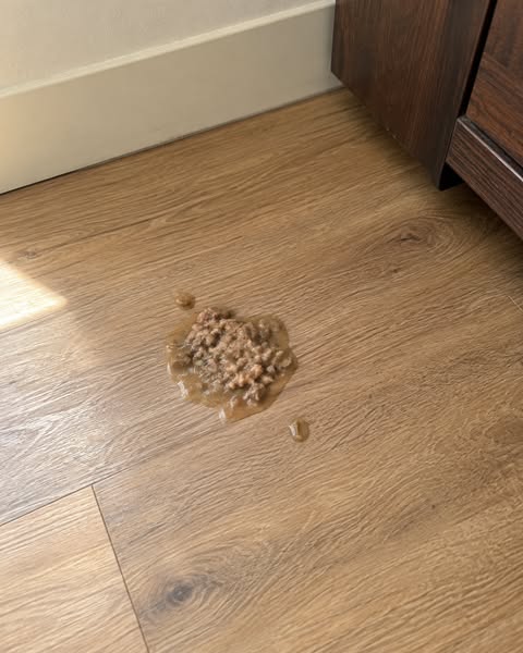 Das teuerste Futter hat sie nicht gerettet