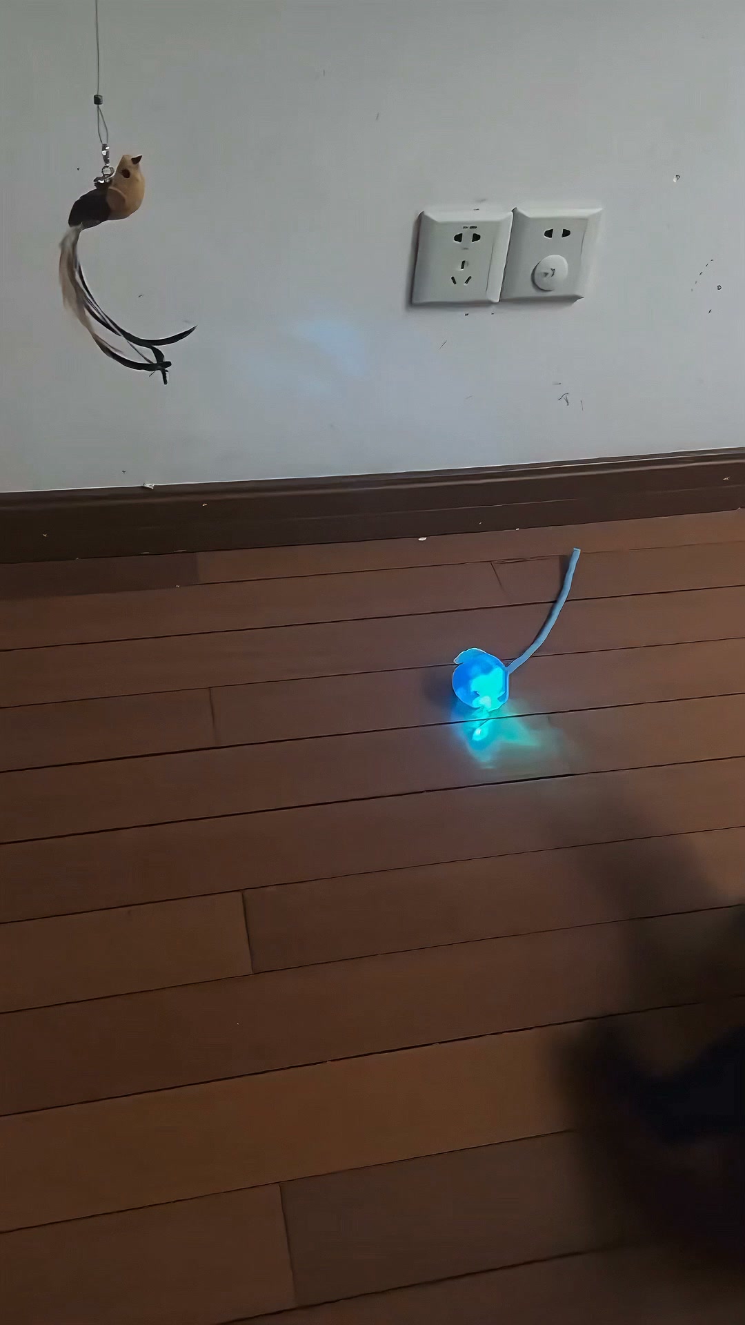 Interactive Rolling Cat Toy with Tail