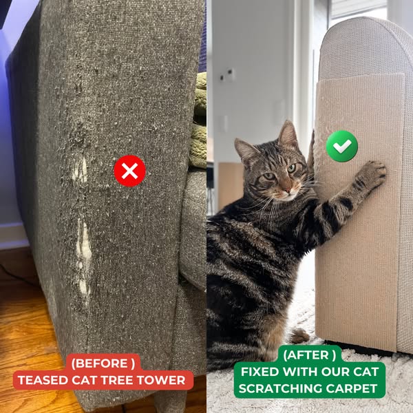 Trusted by Cat Lovers, Loved by Kitties!