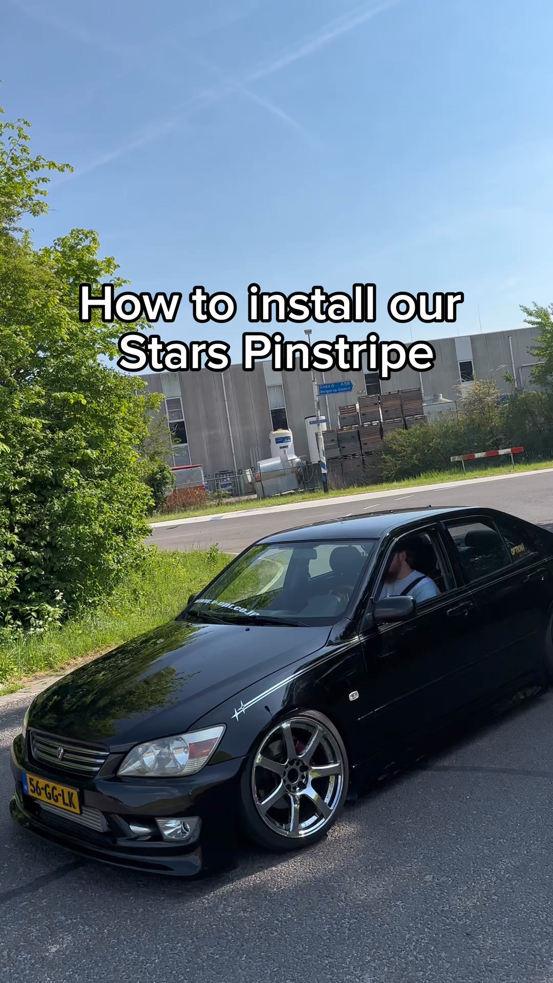 Stars Pinstripe