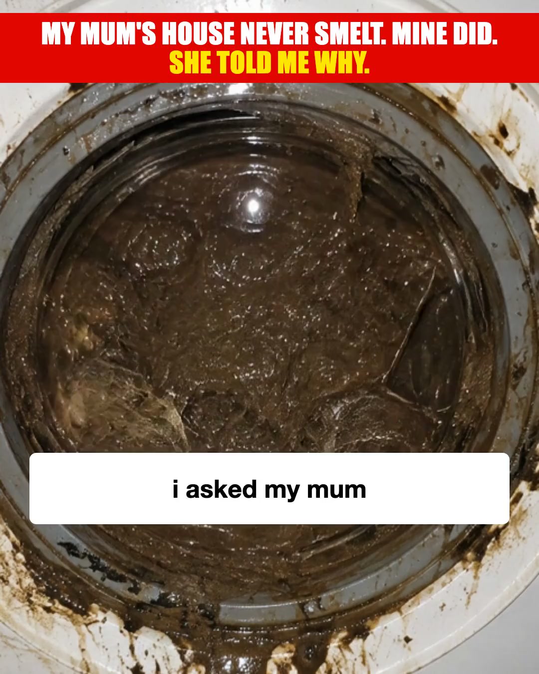 If your washing smells like a wet dog straight out of the machine... this germ is why