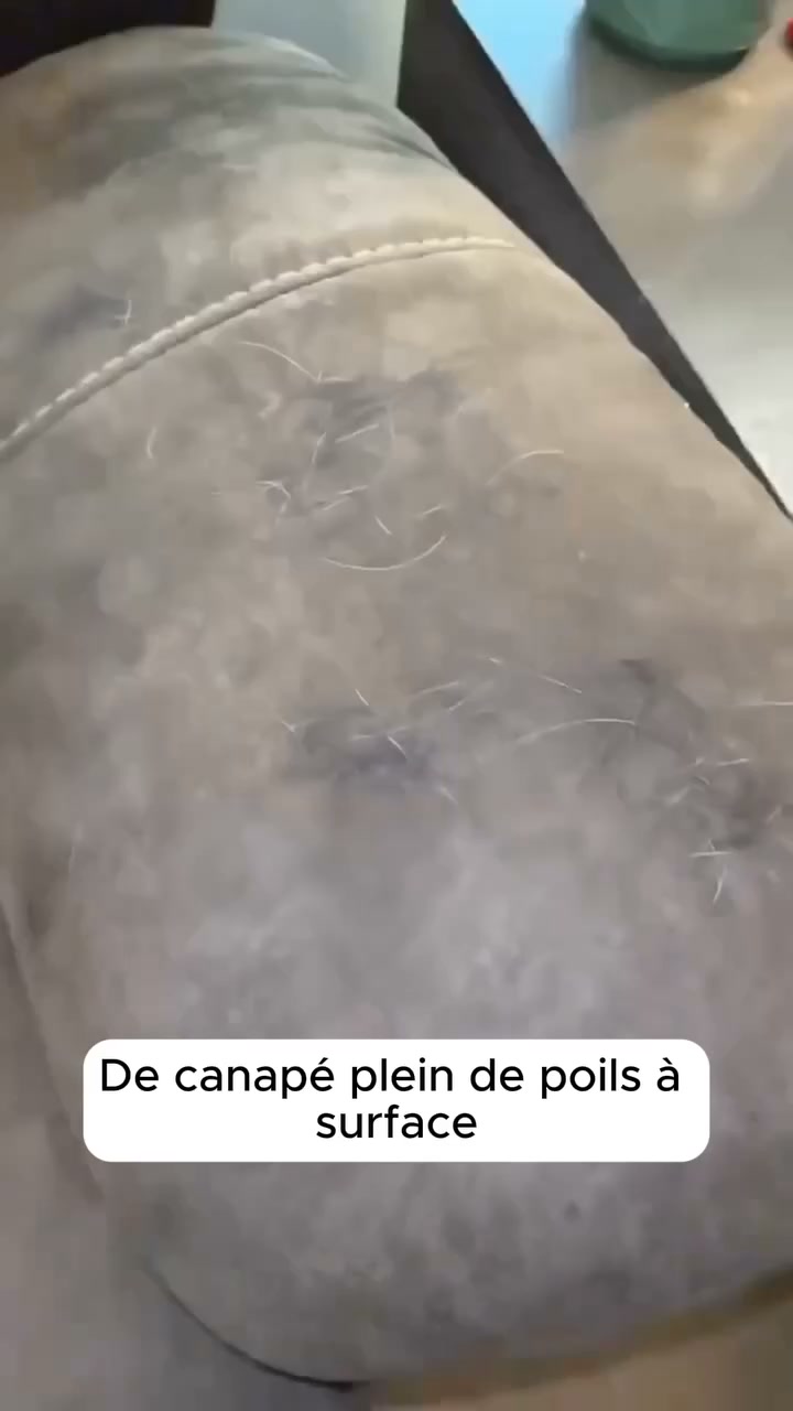 Plus besoin d’aspirateur ou de rouleaux !