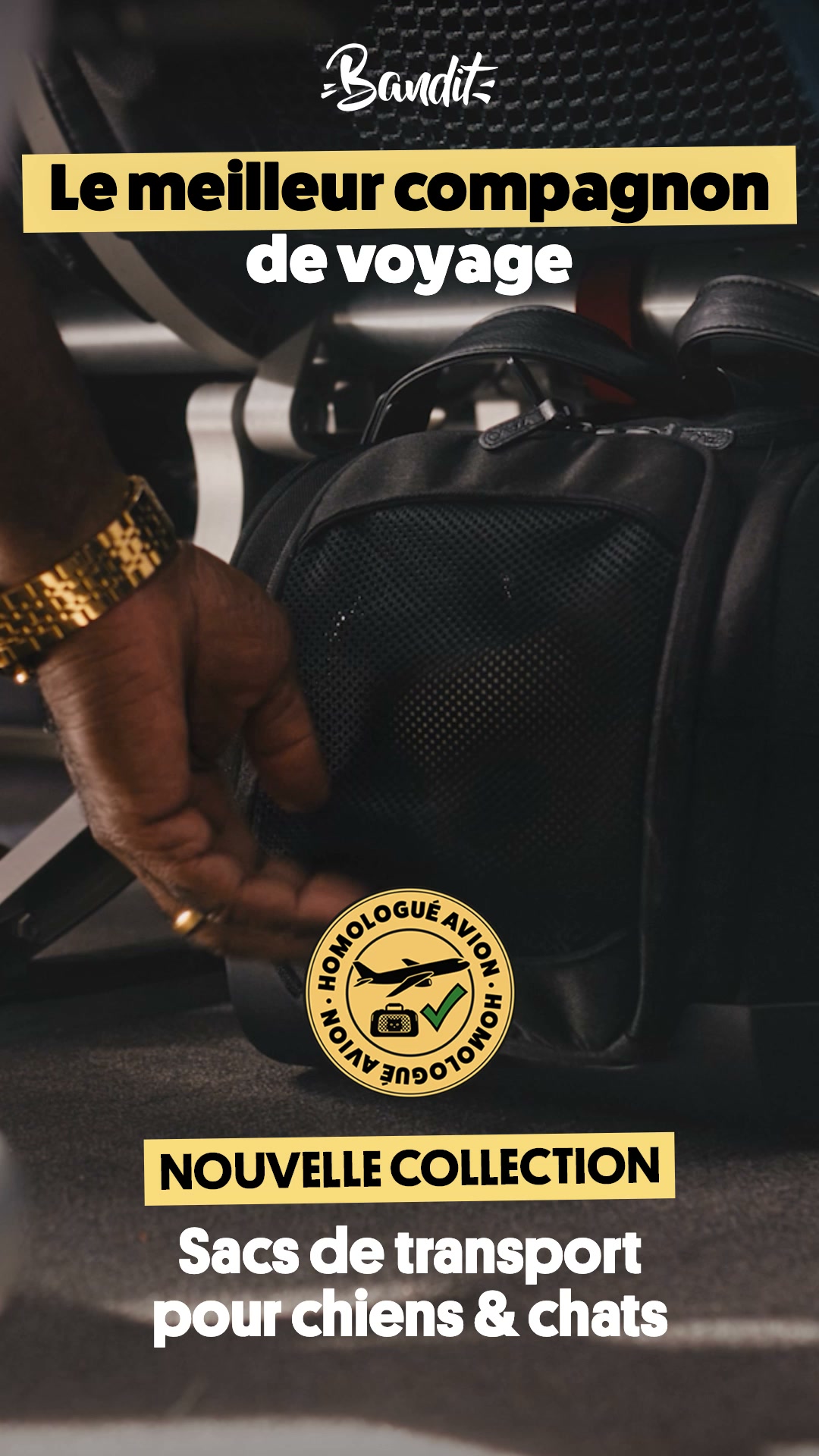Dupree : siège auto et sac cabine
