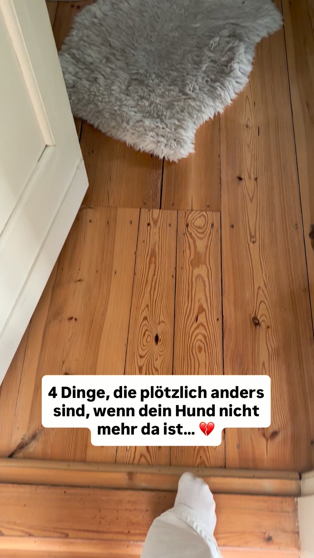 Für den Hund, den du für immer vermisst.