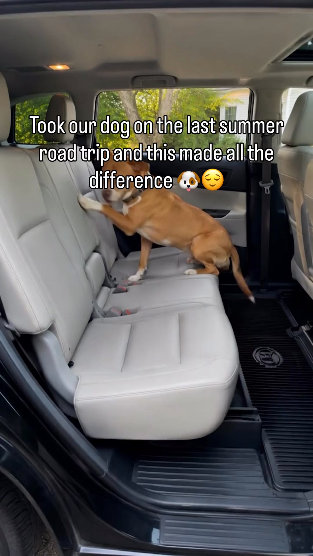 Safe & Comfy Rides in 1 Easy Step