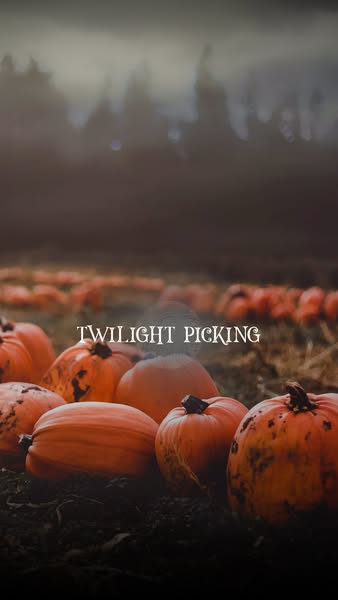 Pick Your Own Pumpkins - Forage