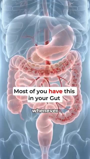 The 10X Stronger Black Seed Oil Your Body Needs