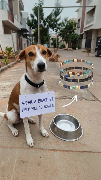 Save The Paws Bracelets