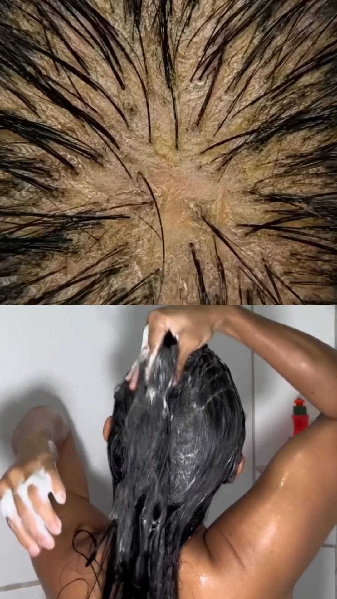 Join the 14-Day Haircare Challenge