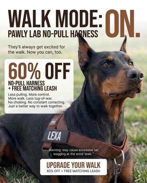 FREE LEASH TODAY