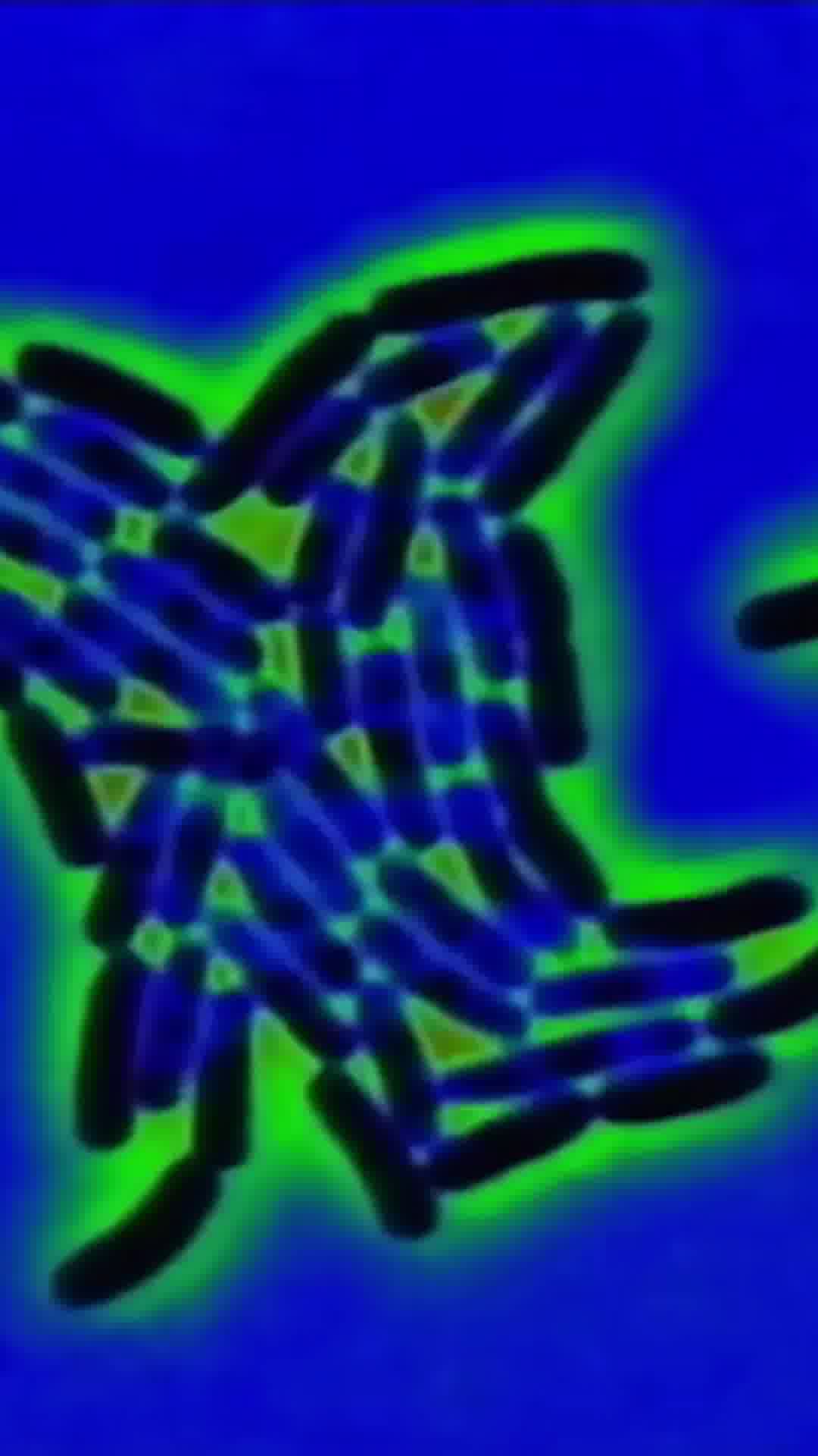 ★★★★★