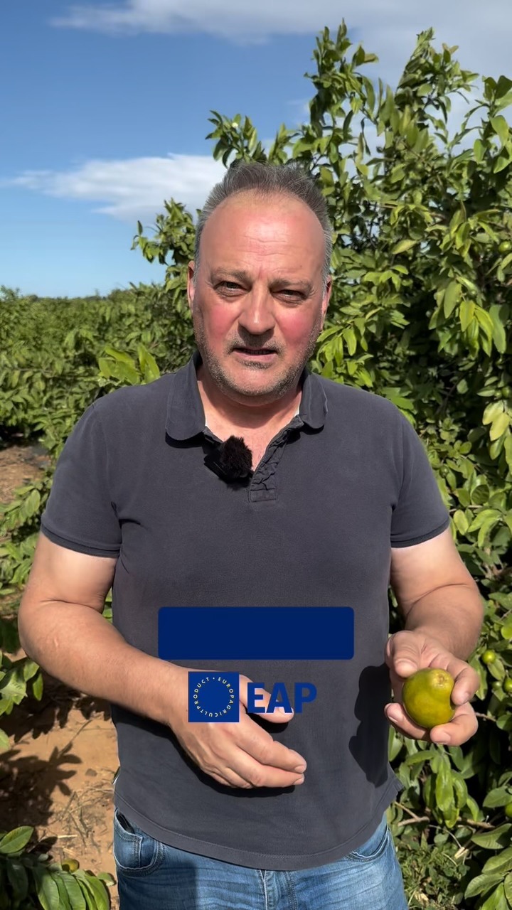 Anúncio de Europa Agricult Product