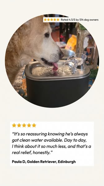 Stop Rinsing Your Dog's Water Bowl