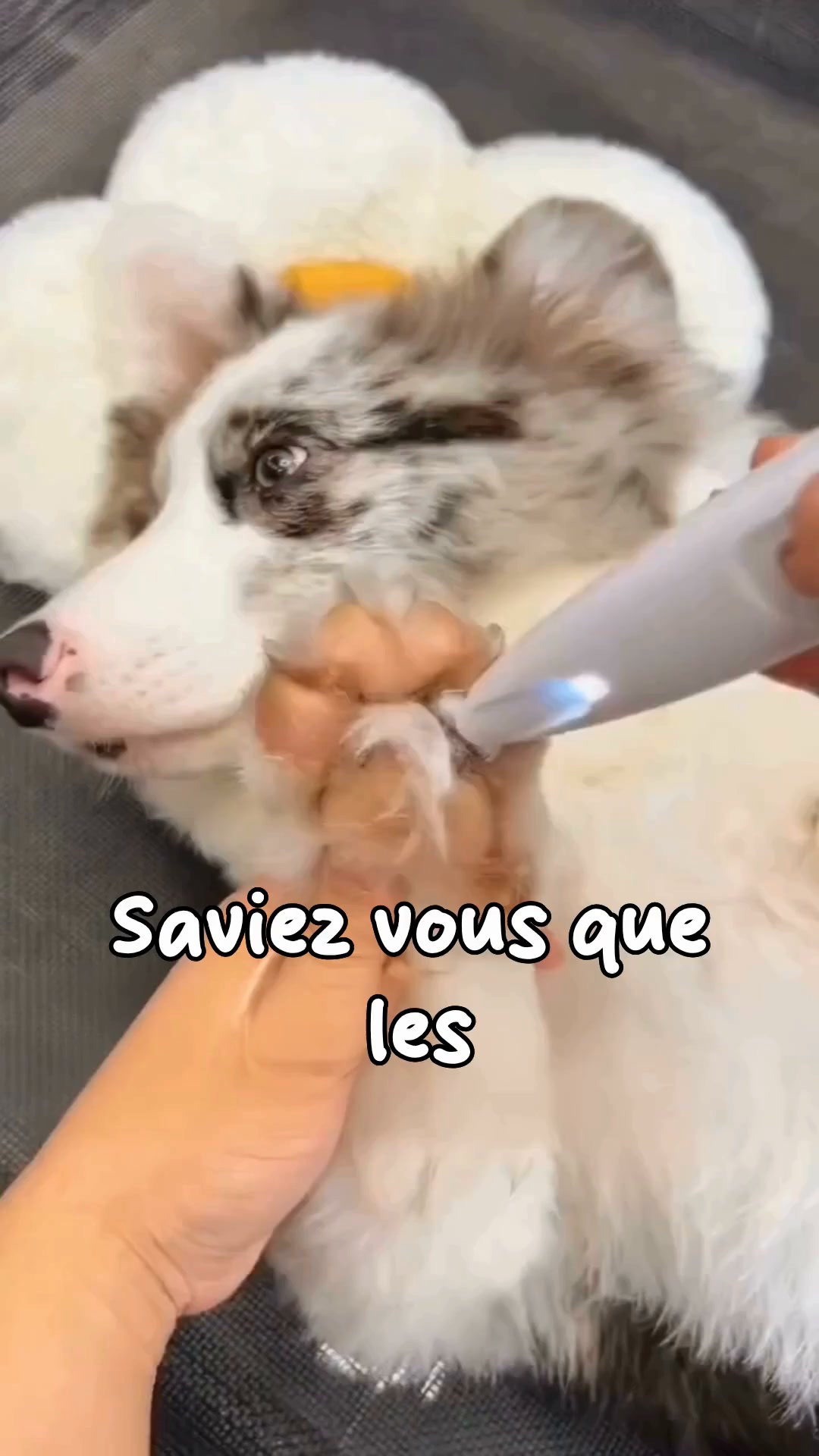 50% AUJOURD'HUI • Livraison offerte