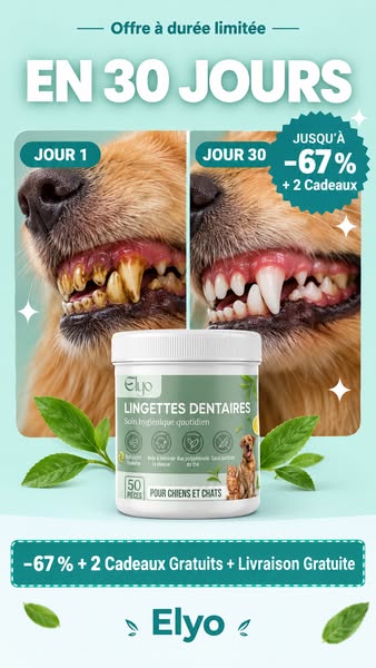 Offrez à votre chien une vie plus saine et plus heureuse