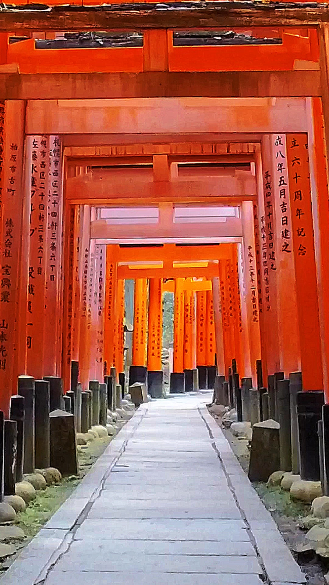 A Taste of Real Japan