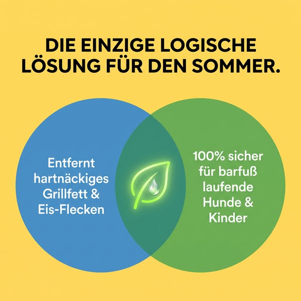 Ein Paket statt Putzchaos