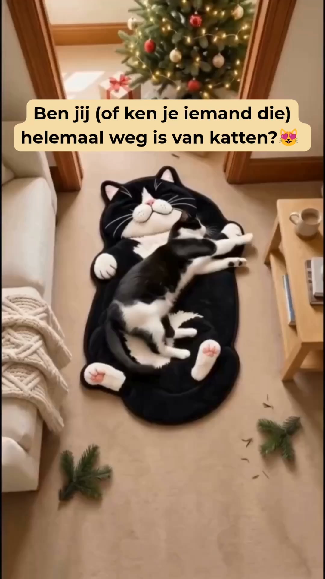 Gek op katten? Dan wil je dit kleed